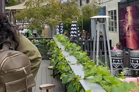 Santa Barbara: Funk Zone Comedian & Drag Queen Wine Tour