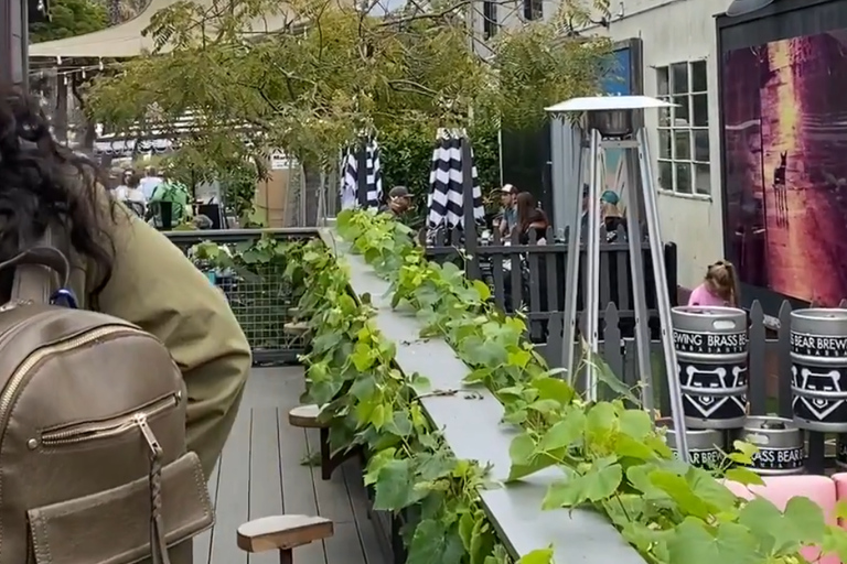 Santa Barbara: Funk Zone Comedian & Drag Queen Wine Tour