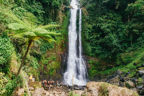 North Bali Sunrise Tour with Dolphins, Waterfalls & Temples Private Premium Option