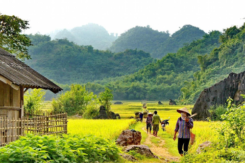 Vanuit Hanoi: Mai Chau Excursie 1 dag met fietsen en lunch