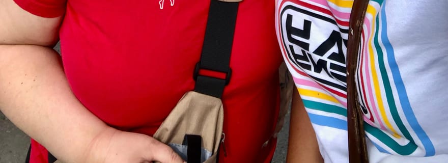 Antananarivo : visite privée à pied avec un guide de la région