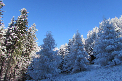 1 day hike to the Piatra Mare massif