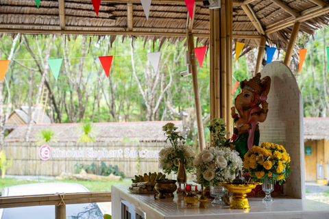 Khao Lak’s Best: Elephant Sanctuary,Rubber Tapping&Waterfall Khaolak Elephant Sanctuary Guided Tour with Hotel Transfers