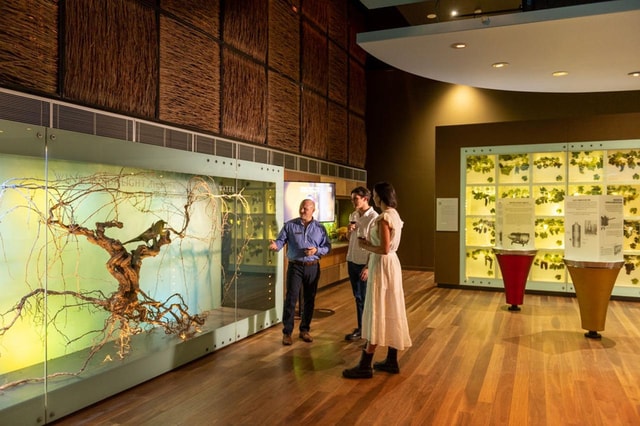 Adelaide: Hosted Tour of the Australian Wine Story