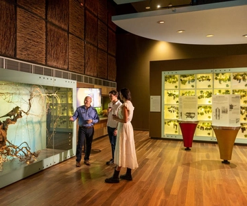 Adelaide: National Wine Centre Wine Discovery Journey