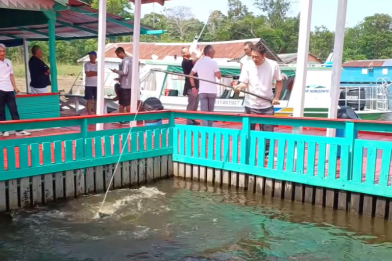 Tour Safari Amazônico em Manaus (Compartilhado)
