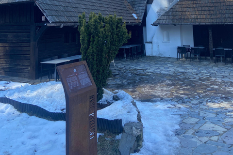 From Brașov: Bran Castle, Bear Sanctuary, & Poiana Brașov