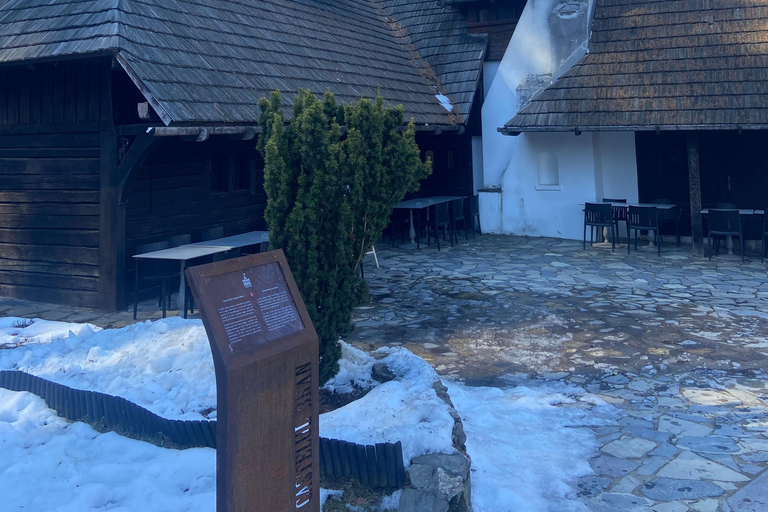 From Brașov: Bran Castle, Bear Sanctuary, & Poiana Brașov