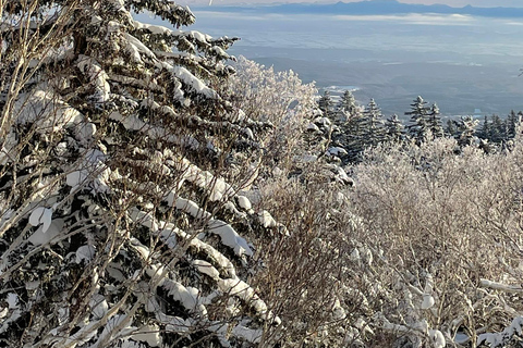 Shikotsu-Toya National Park: Guided Snowshoe Hike and Onsen Shikotsu-Toya National Park: Guided Snowshoe Hike and Onsen.