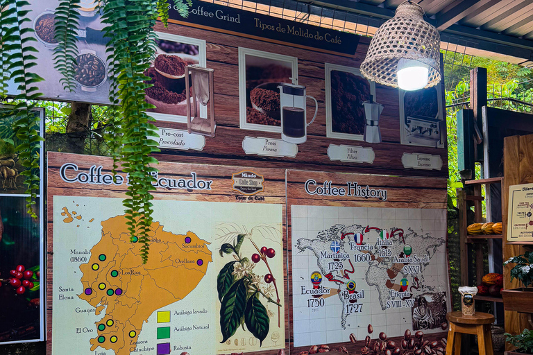 Quito: 2-Day Mindo Cloud Forest Adventure