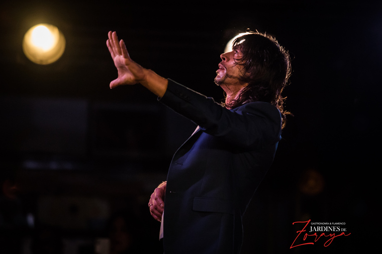 Granada: Flamenco Show in Albaycin - Jardines de ZorayaGranada: Flamenco Show