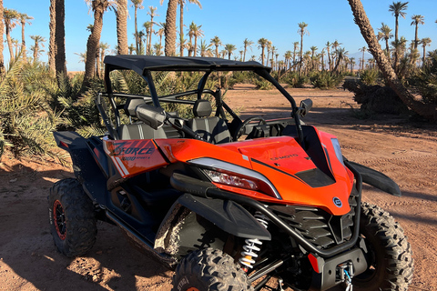 Marrakech : Palm Grove and jbilat Desert Buggy 1000cc Tour