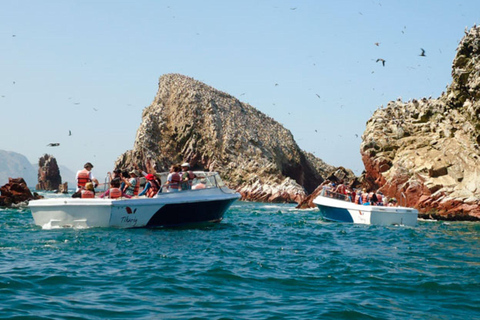Full Day Paracas and Ballestas Islands