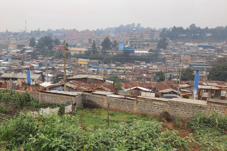 Nairobi: Kibera Streetart Tour met lokale kunstenaars