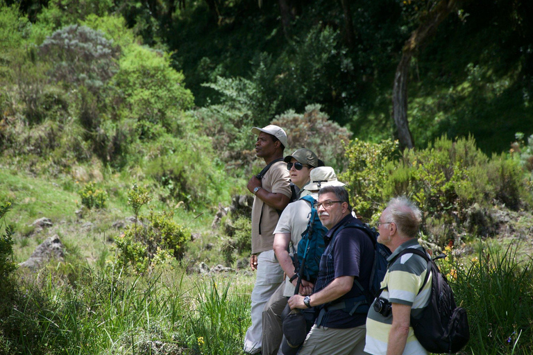 1-Day Into Nature; Materuni Coffee and Waterfalls Tour