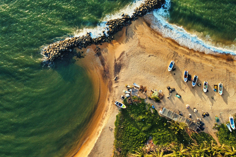 Colombo: Galle, Madu River Day Trip with Turtle Conservation