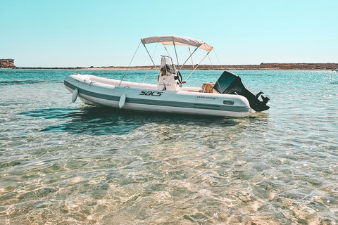 Ibiza and Formentera: Full-Day Boat Rental