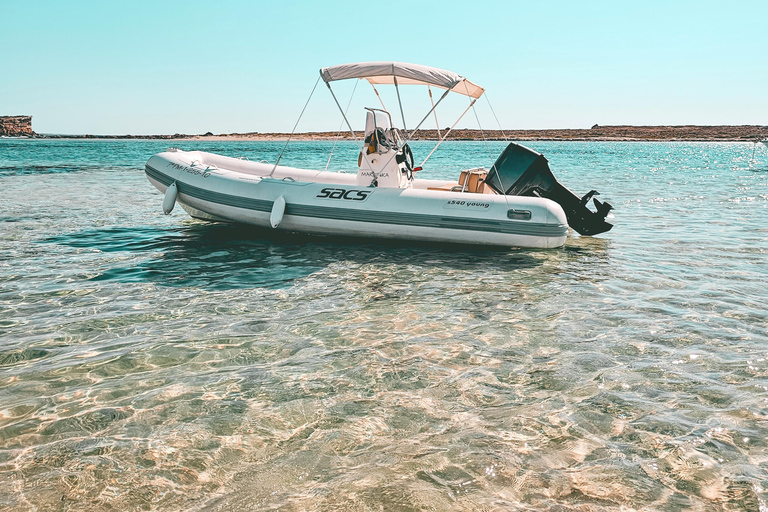 Ibiza and Formentera: Full-Day Boat Rental