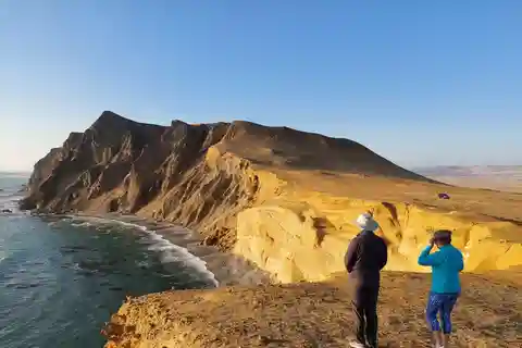 Paracas : île de Ballestas et réserve naturelle, tout compris