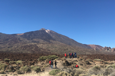 Tenerife: Excursión en Buggy por el Parque Nacional del Teide con Traslado al Hotel