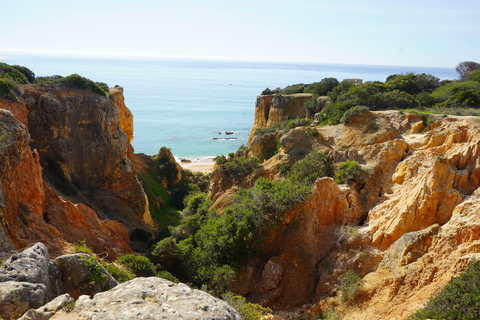 Albufeira Coastline Hiking - Small Group Albufeira Coastline Hiking Small Group
