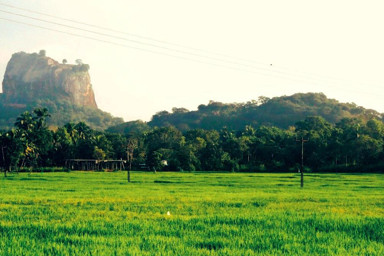 Kandy to Negombo: Sigiriya & Dambulla Day Trip