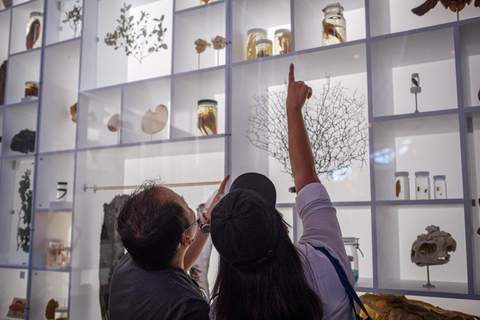 Honolulu : Billet d'entrée générale au musée Bishop