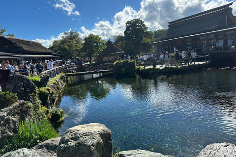 Mount Fuji Full-Day Private Tour from Tokyo (Customizable) Luxury Toyota Crown or SAI