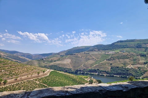 VALLEE DU DOURO : Visite guidée des vignobles, croisière et déjeuner dans un établissement vinicole.Visite privée