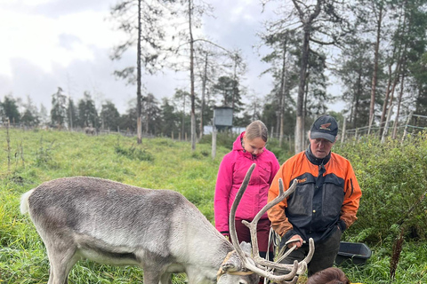 Levi: Herfstwandeling en bezoek aan rendierboerderijHerfstwandeling en bezoek aan rendierboerderij