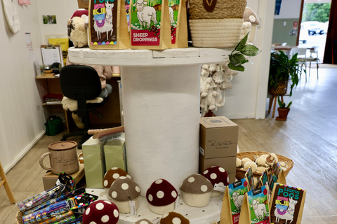 Auckland: Sheepworld, Honey Centre, & Kauri Trail Tour