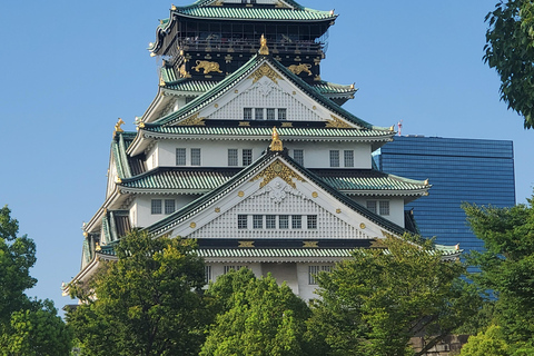 Osaka: [Samma dag OK] Halvdagsutflykt, marknad, slott, rundvandring