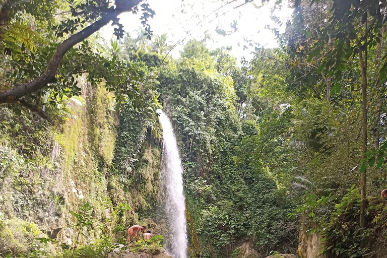 Cebu: Dao, Inambakan, Kawasan and Mantayupan Waterfalls Trip