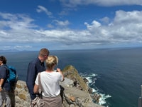 Tour privado, Cape Point, Penguin Beach, Chapmans Peak &more - Hizvo