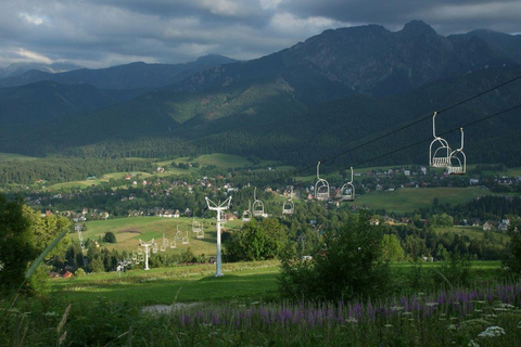 Från Krakow: Zakopane privat dagsutflykt med lokal