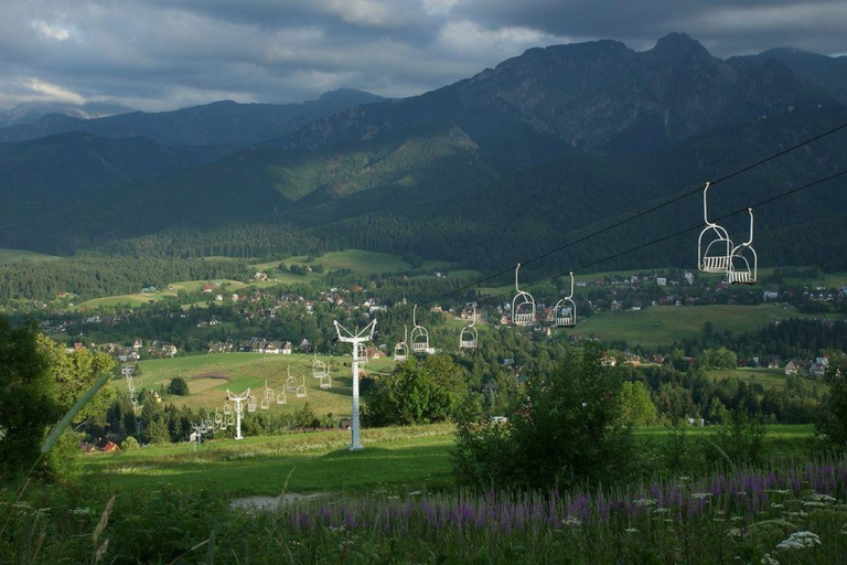 De Cracóvia: Viagem de 1 dia a Zakopane com um guia local