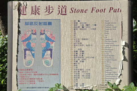 Taipei Private Tour: Heights, Heritage & Local Life Sunset & Night Market