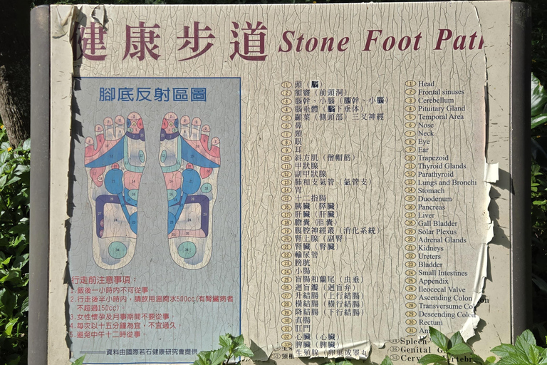 Taipei Private Tour: Heights, Heritage & Local Life Sunset & Night Market