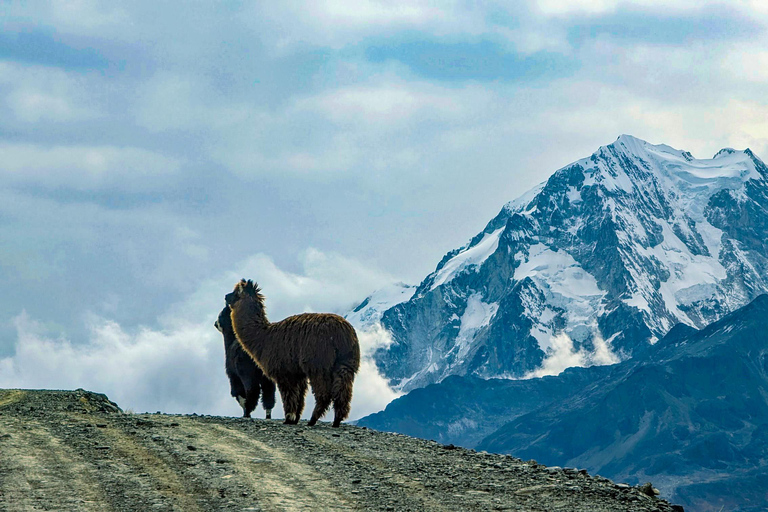 Private 4x4 Expedition: Landscapes of the Cordillera Real from La Paz