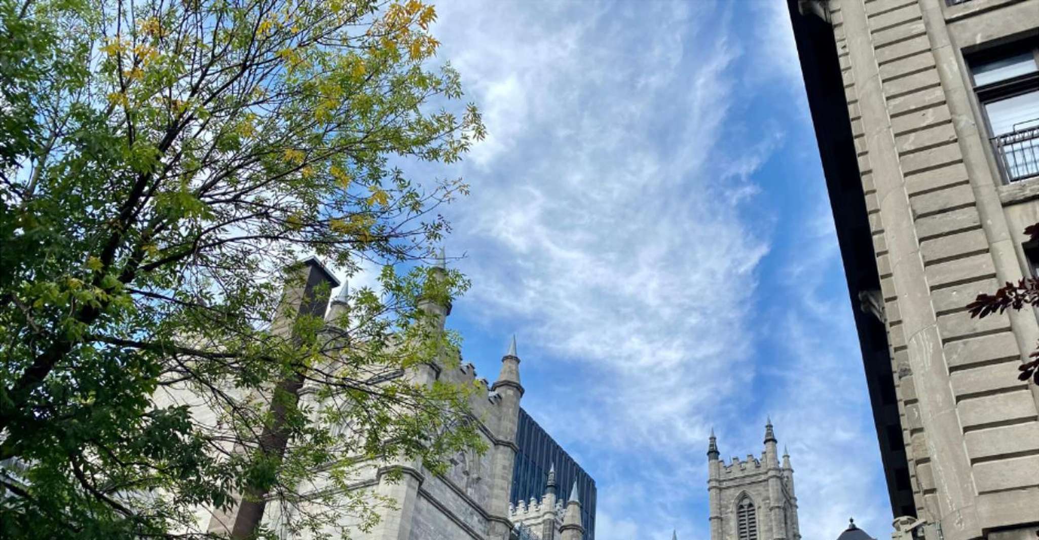 Montréal: The Original Old Montréal Walking Tour photo 5