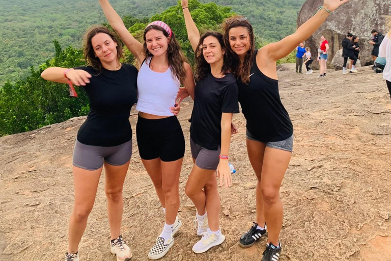 Kandy: Dambulla, Sigiriya, and Village Safari Day Tour