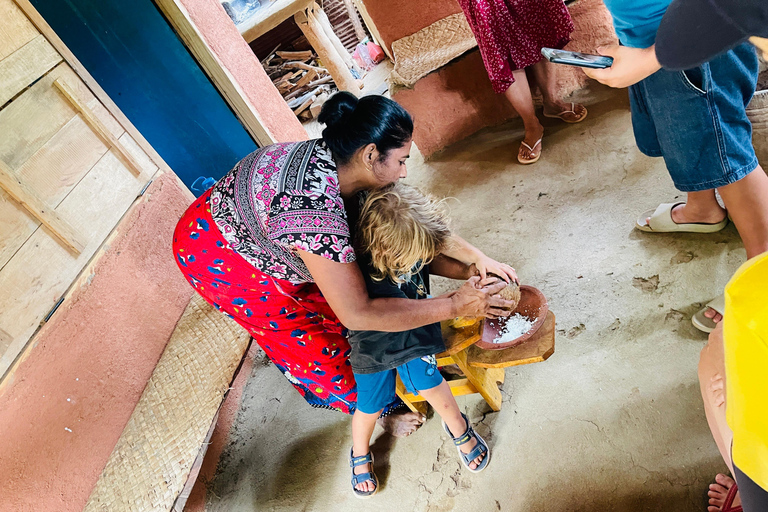 From Colombo: Dambulla, Sigiriya, and Jeep Safari Day Trip