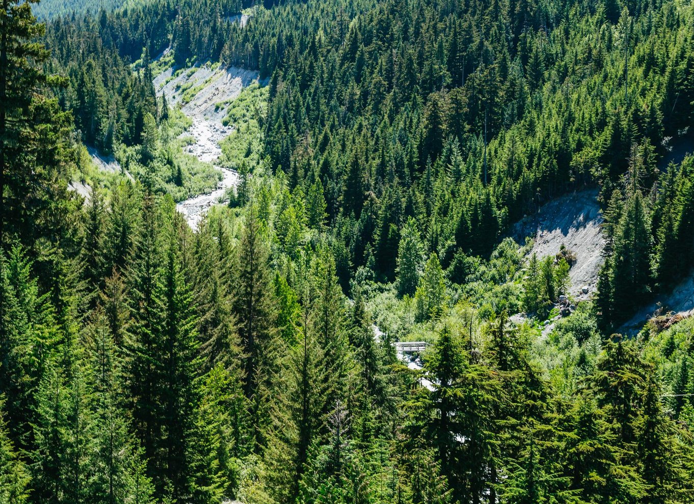 Whistler: Ziplining-oplevelse