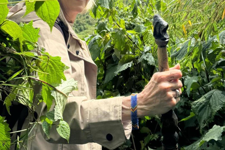 1 Day gorilla trekking safari tour, volcanoes national park.