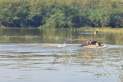 Addis Ababa: 6-Day Abijata Shalla NP & Bale Mountains Tour