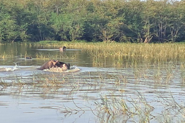 Addis Ababa: 6-Day Abijata Shalla NP & Bale Mountains Tour