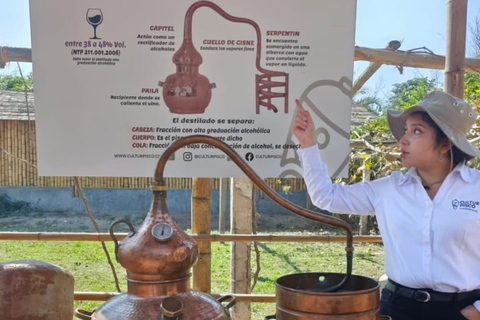 Flavors of Ica: Tradition and Modernity in a Guided Experience