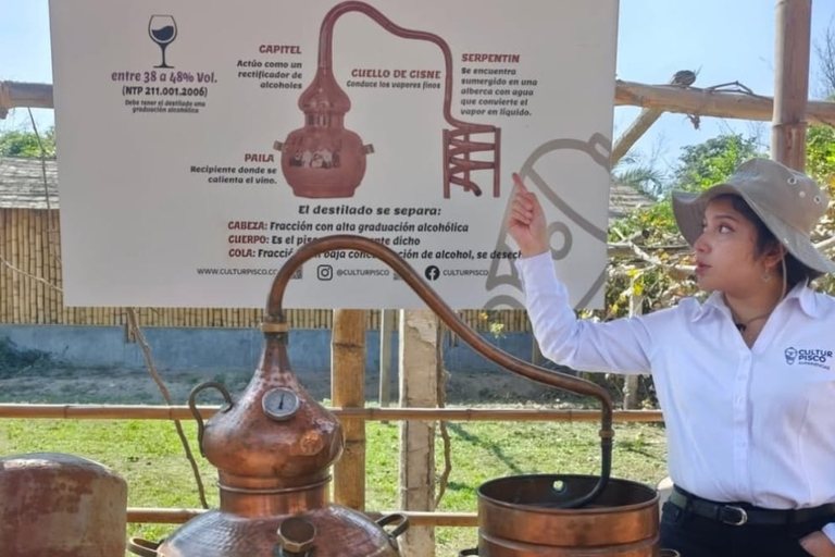 Flavors of Ica: Tradition and Modernity in a Guided Experience