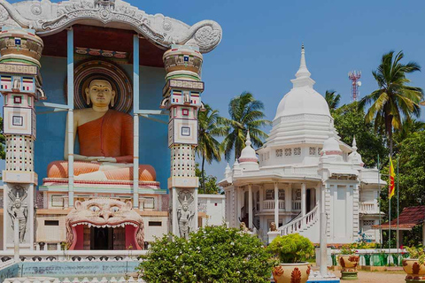 Tour de la ciudad de Negombo : Mercado del Pescado y Paseo en barco por el Canal Holandés