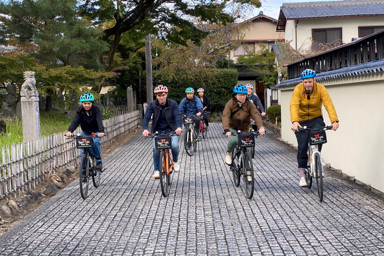 Kyoto: tour pomeridiano in bici nella foresta di bambù e nel parco delle scimmie